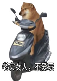 老实女人,不爱玩(快穿)